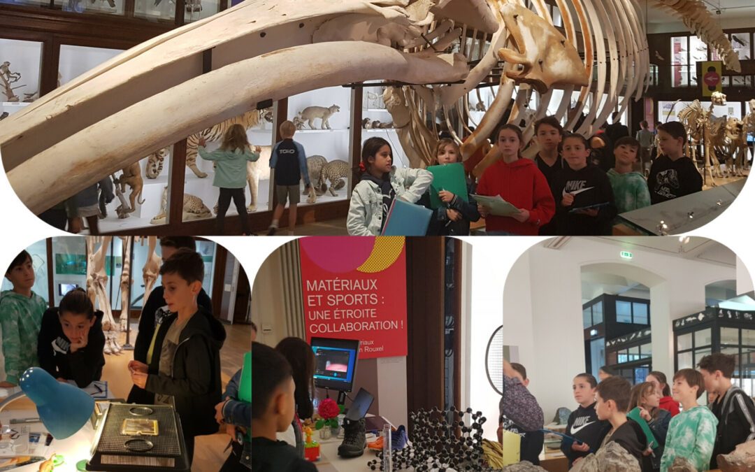 Les 6B au muséum pour la fête de la science